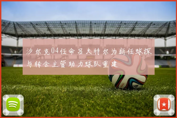 沙尔克04任命吕夫特尔为新任球探与转会主管助力球队重建